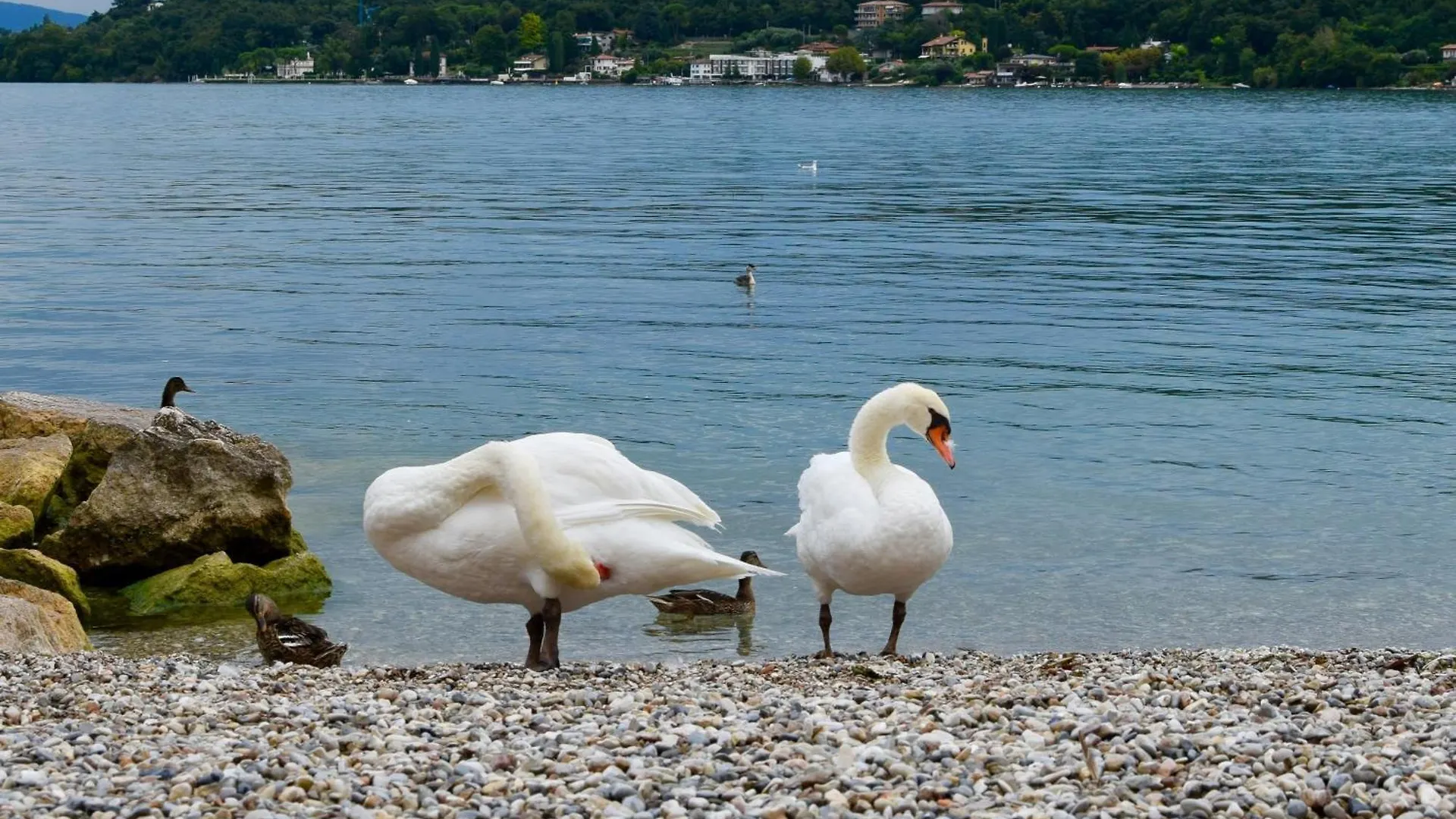 Apartment Villa Donne Del Lago Anna Salo